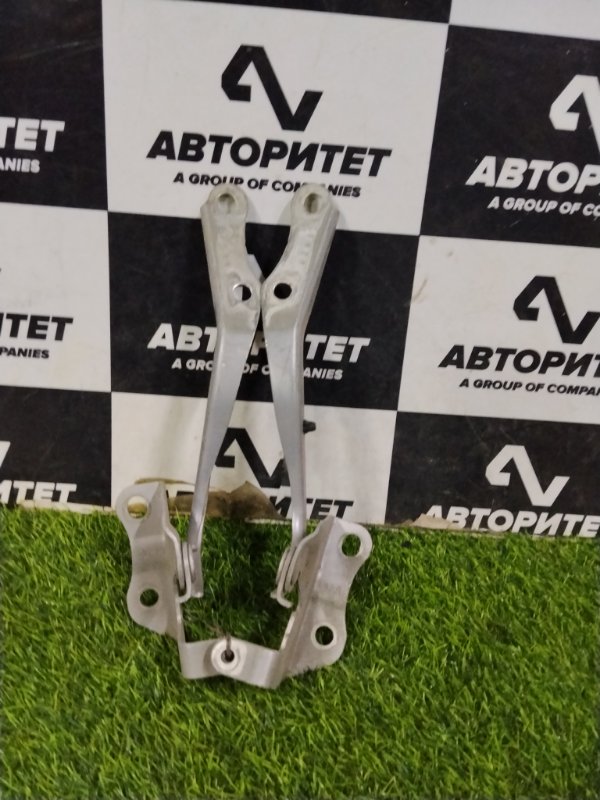 Петля капота TOYOTA BLADE AZE156 2AZFE 2007 (б/у)