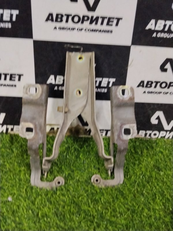 Петля капота NISSAN PRIMERA TP12 QR20DE 2001 (б/у)