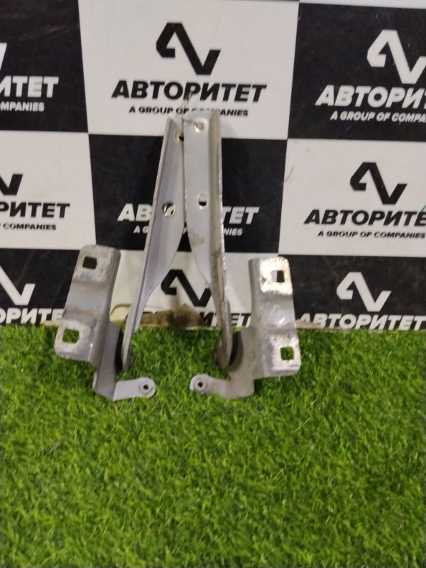 Петля капота NISSAN TIIDA LATIO SC11 HR15DE 2006 (б/у)