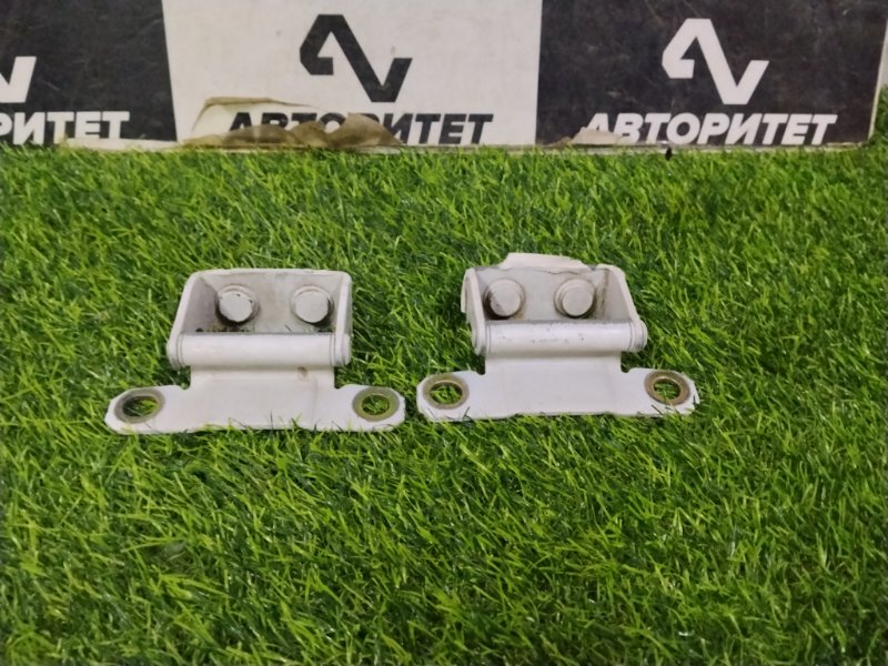 Петля 5-й двери NISSAN AD VFY11 QG15DE 2001 (б/у)