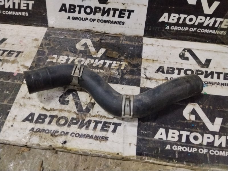 Патрубок радиатора NISSAN AD VY11 QG13DE 2006 (б/у)