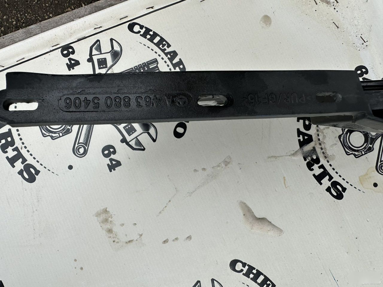 Ноускат - Фото 7