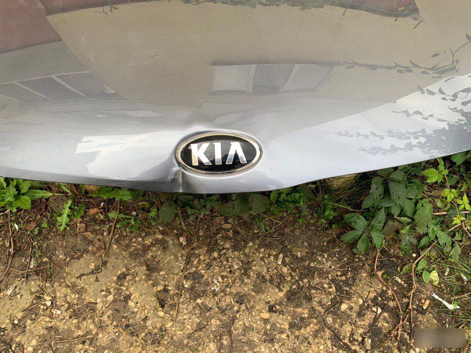 Капот - Фото 3