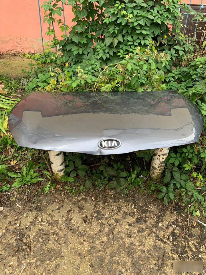 Капот - Фото 4