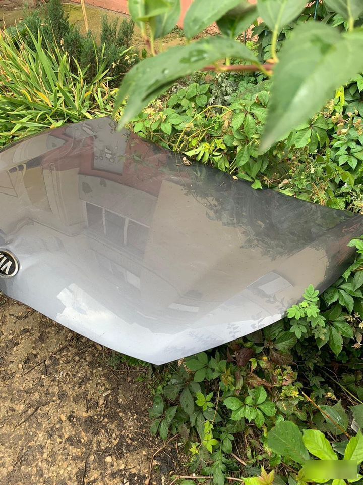 Капот - Фото 5