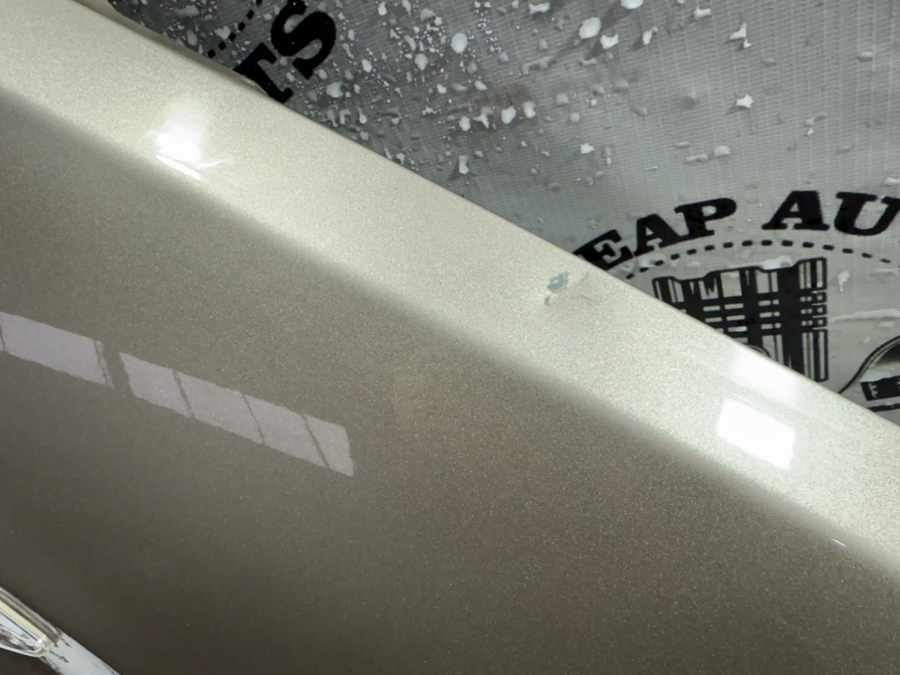 Крыло - Фото 7