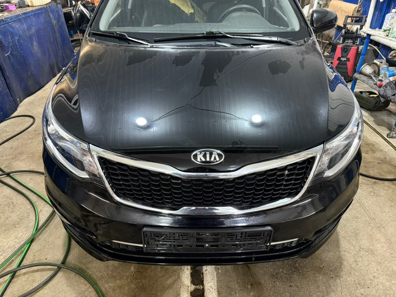 Ноускат - Фото 4