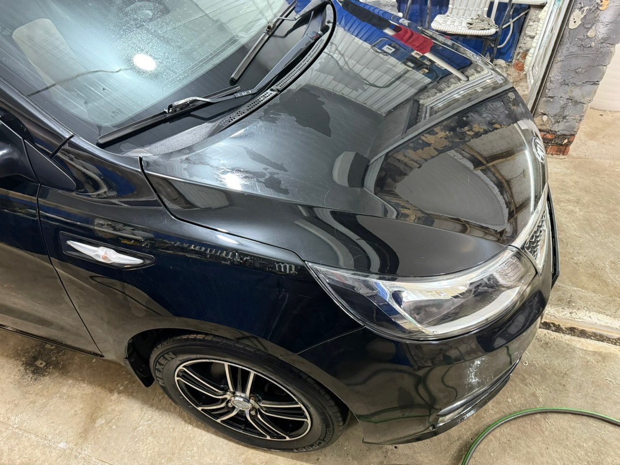 Ноускат - Фото 6