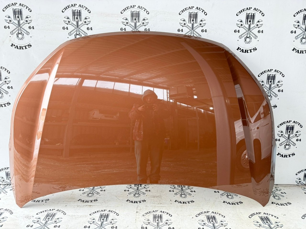 Капот - Фото 21