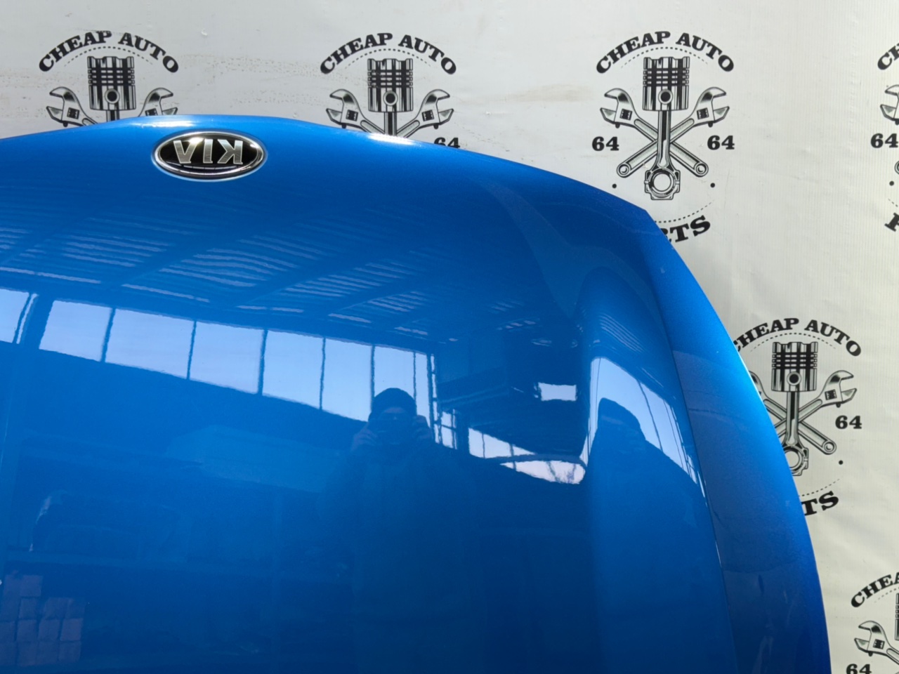 Капот - Фото 20