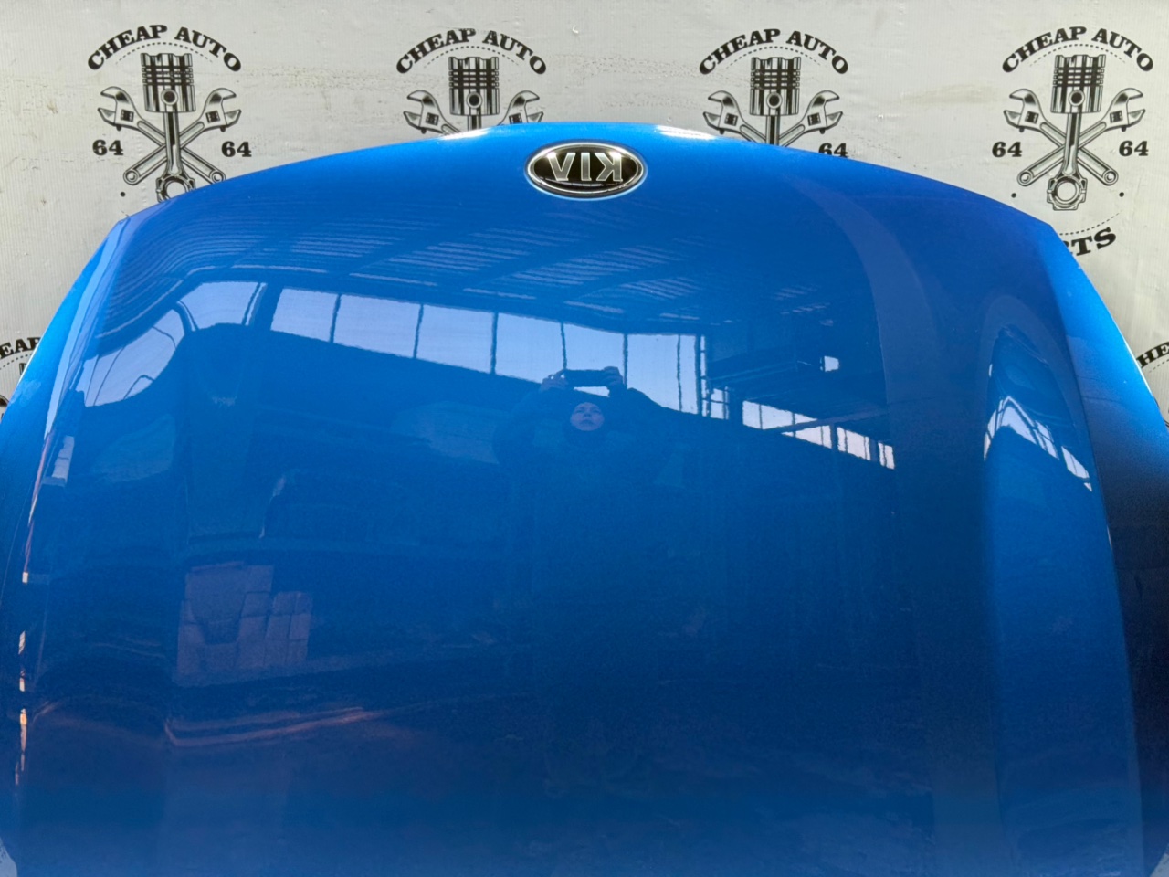 Капот - Фото 18