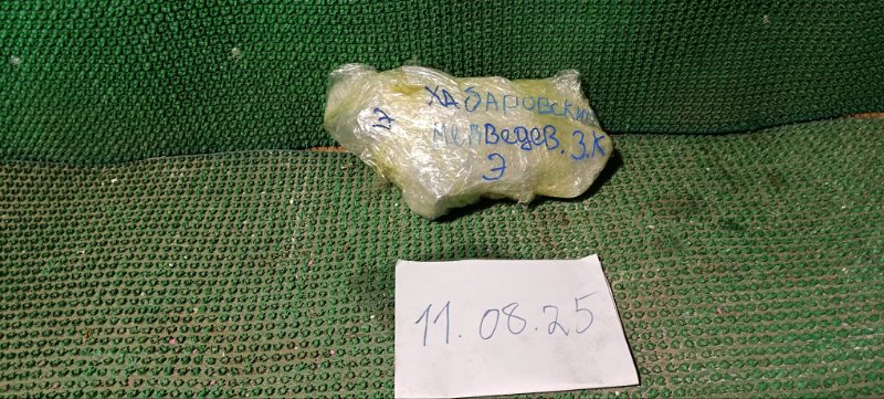 Приемная труба глушителя Delica 1995 P25W 4D56