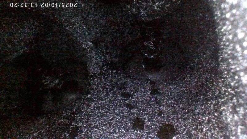 Engine VMAX 1200 2LT Engine VMAX 1200 2LT