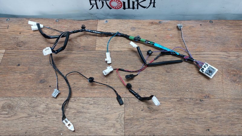 Проводка двери Mazda Demio DY3R ZJVE задняя (б/у)