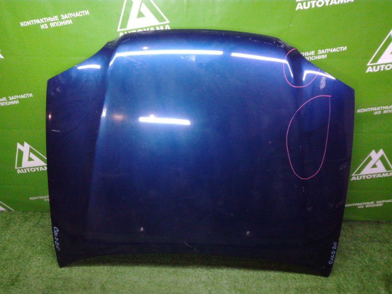 Капот Toyota Caldina ST210 3SFE (б/у)