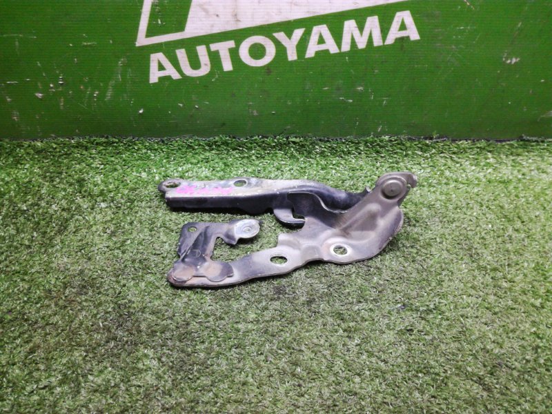 Петля капота Toyota Camry ACV40 2AZFE 2009 левая (б/у)
