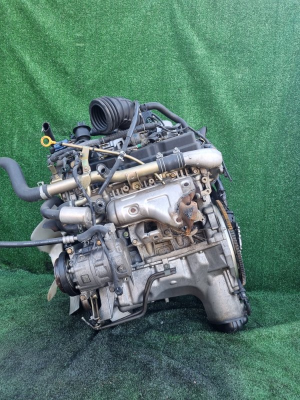 Двигатель Nissan Elgrand NE51 VQ35DE (б/у)