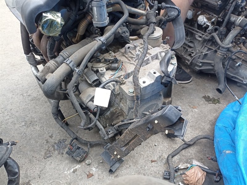 Акпп VOLKSWAGEN GOLF 5 1K1 BLF 229244 (б/у)