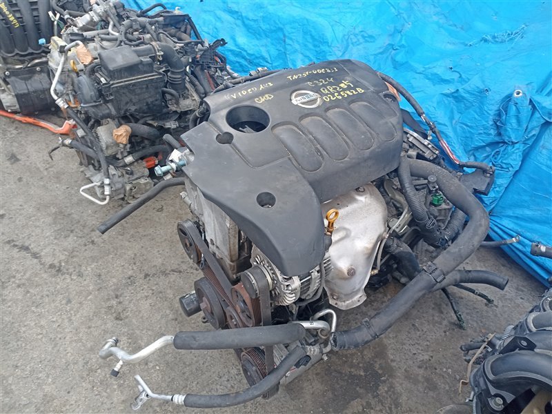 Двигатель NISSAN MURANO TNZ51 QR25DE 0265828 (б/у)