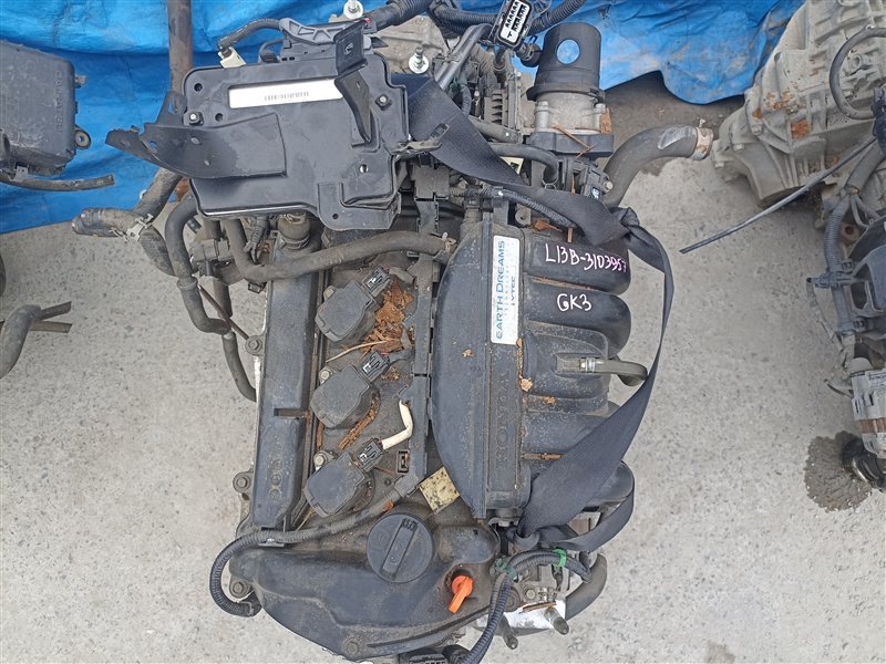Двигатель HONDA FIT GK3 L13B 3103957 (б/у)
