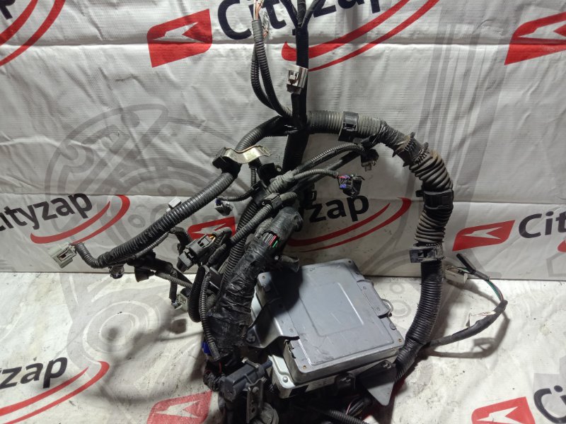Проводка ДВС PRIUS 2005 NHW20 1NZ-FXE