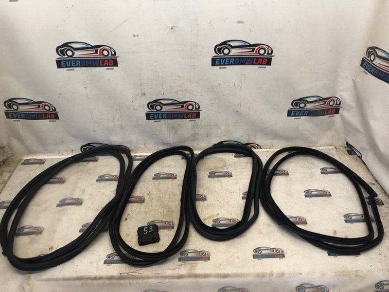Уплотнительная резинка Bmw X5 E53 SAV M54B30 306S3 2002