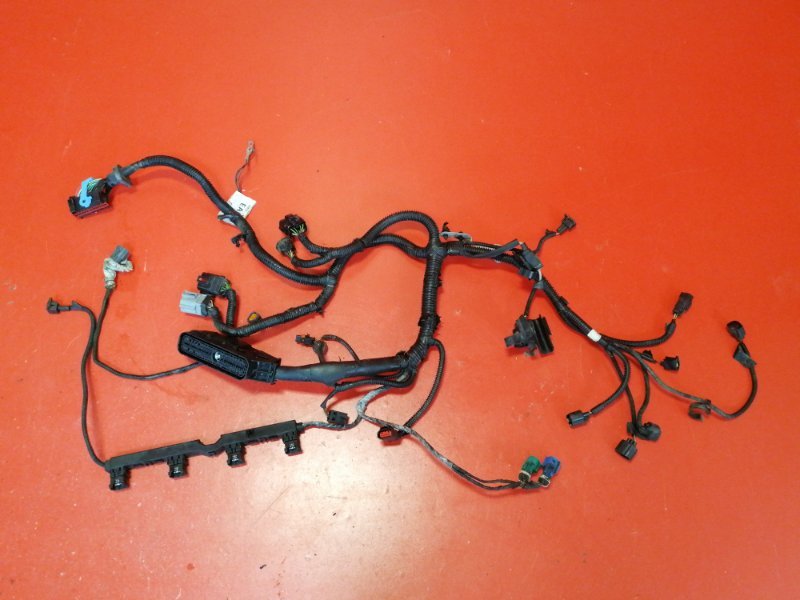 Проводка двигателя Ford Focus CB4 SHDA 2011 (б/у)