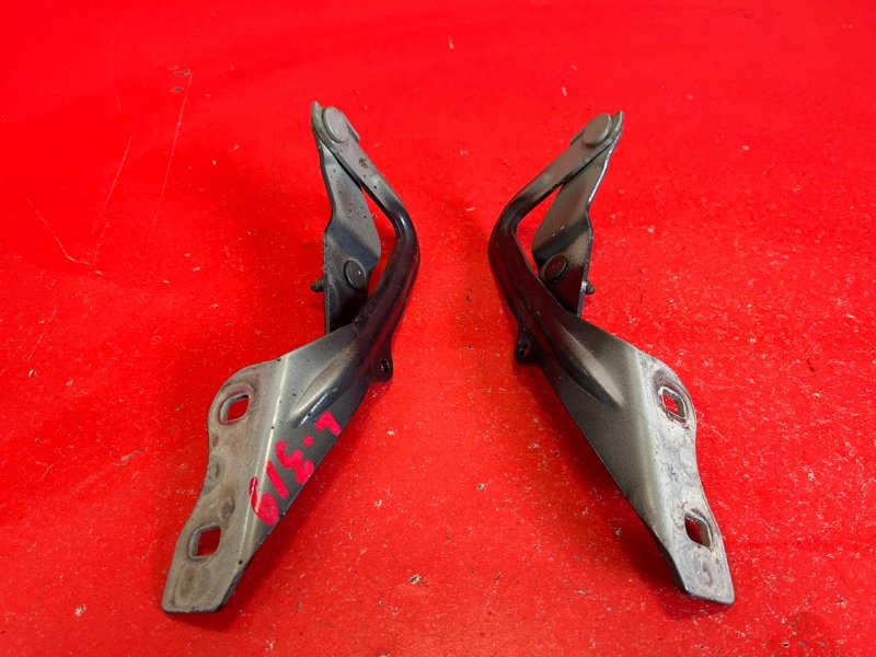 Петля капота Ford Focus CB4 AODA 2007 (б/у)