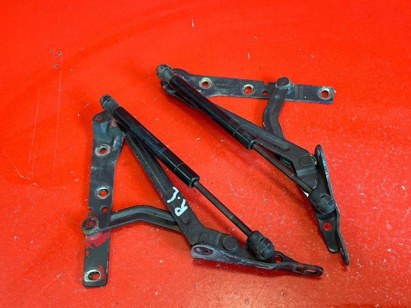Петля крышки багажника Ford Focus CB4 AODA 2007 (б/у)