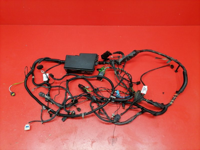 Проводка подкапотная Ford Focus CB4 QQDB 2006 (б/у)
