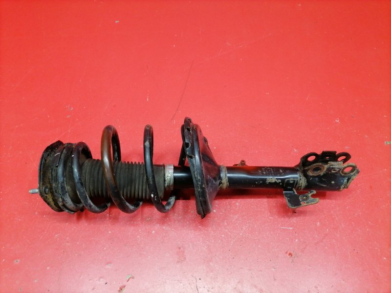 Стойка подвески Lexus RX330 MCU38L 3MZ-FE 2003 передняя левая (б/у) Стойка подвески Lexus RX330 MCU38L 3MZ-FE 2003 передняя левая (б/у)
