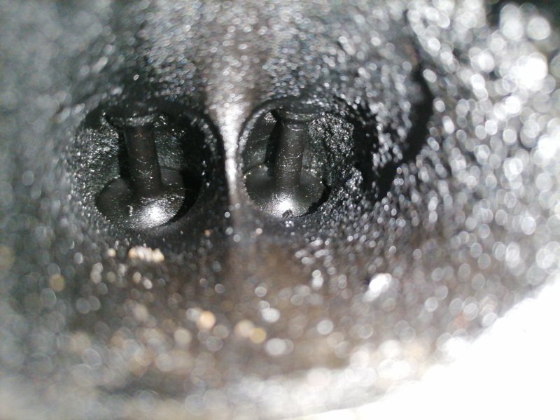 Двигатель Ford Focus CB4 SHDA 2010 (б/у) Двигатель Ford Focus CB4 SHDA 2010 (б/у)