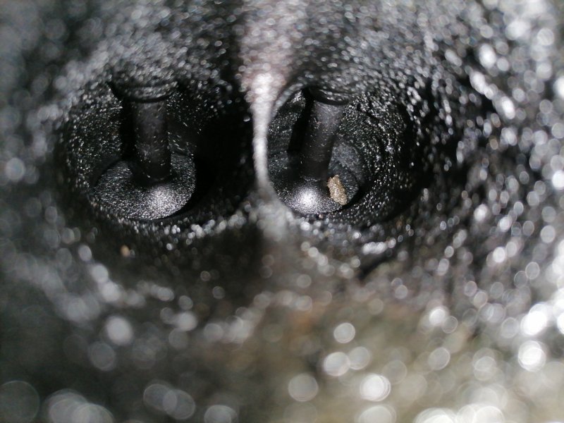 Двигатель Ford Focus CB4 SHDA 2010 (б/у) Двигатель Ford Focus CB4 SHDA 2010 (б/у)