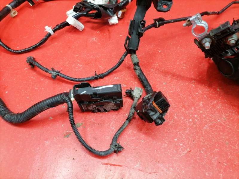 Проводка подкапотная Nissan Teana J32 QR25DE 2010 (б/у) Проводка подкапотная Nissan Teana J32 QR25DE 2010 (б/у)