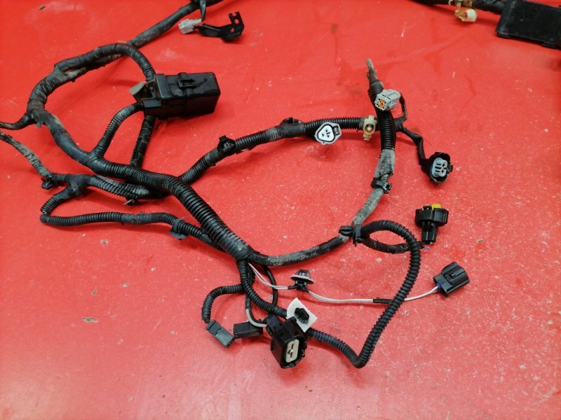 Проводка подкапотная Nissan Teana J32 QR25DE 2010 (б/у) Проводка подкапотная Nissan Teana J32 QR25DE 2010 (б/у)