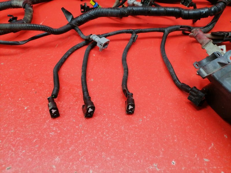Проводка двигателя Nissan Almera G15 K4M 2014 (б/у) Проводка двигателя Nissan Almera G15 K4M 2014 (б/у)