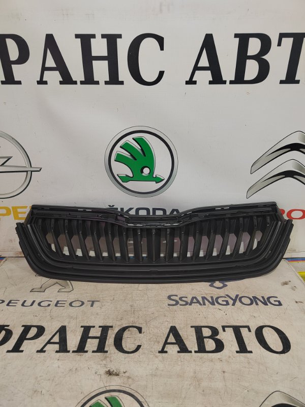 Решетка радиатора Skoda Rapid 2020