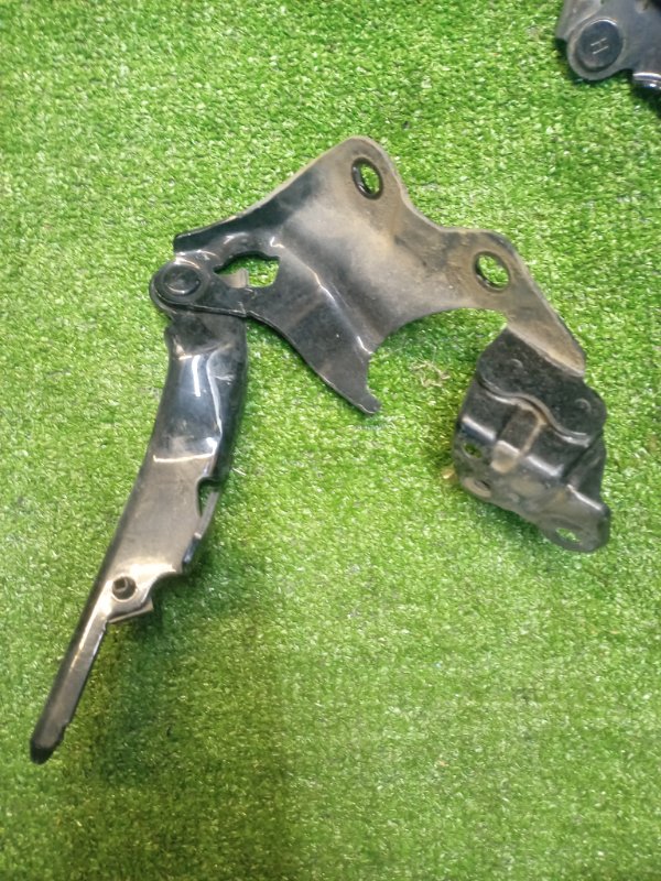 Петля капота Gs350 2005 GRS191 2GR-FSE