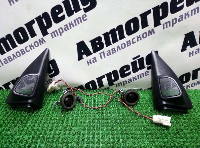 Динамик Toyota Camry Gracia MCV21 2MZ 03.1997
