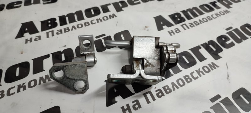 Петля дверная Volkswagen Passat Cc 357 CAW 30.07.2008 задняя левая