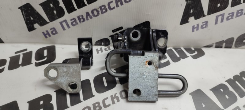 Петля дверная Volkswagen Passat Cc 358 CDA 07.06.2012 задняя левая