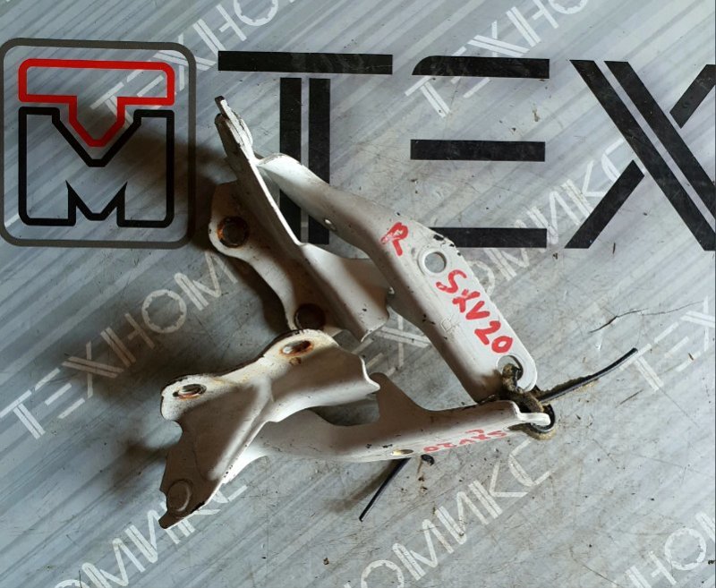 Петля капота Toyota Camry Gracia SXV20 (б/у)