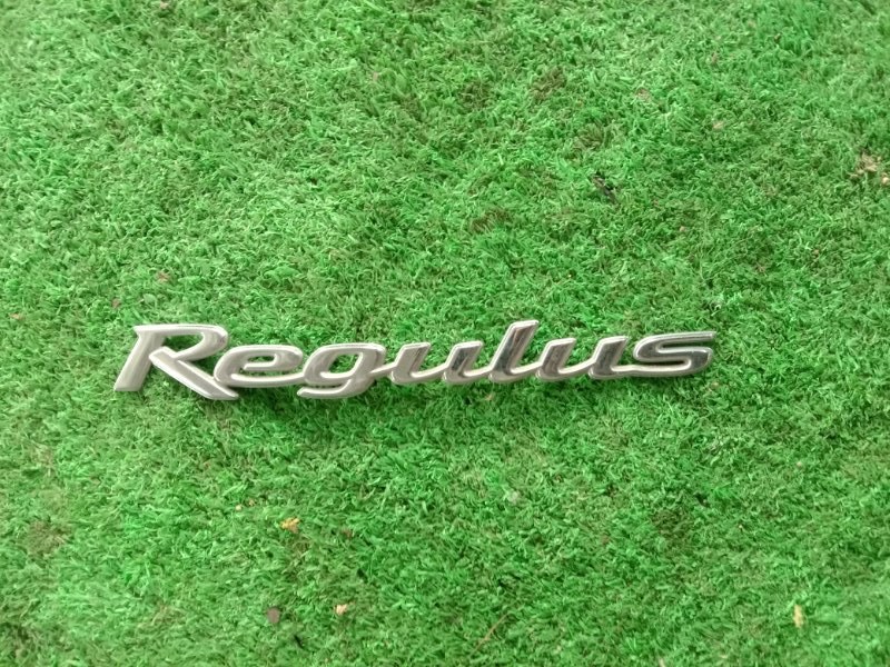 Эмблема Nissan Terrano Regulus RR50 QD32 (б/у)
