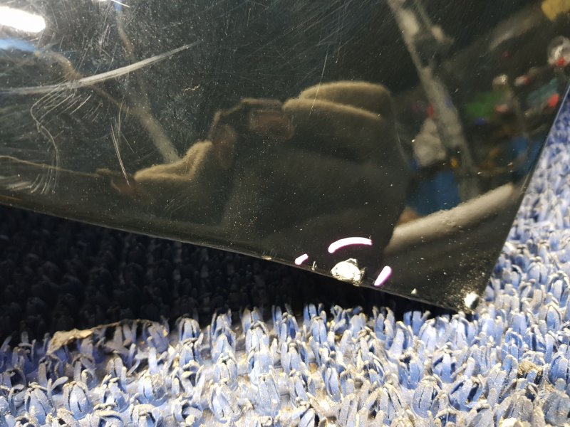 Крыло переднее правое NAVIGATOR U228