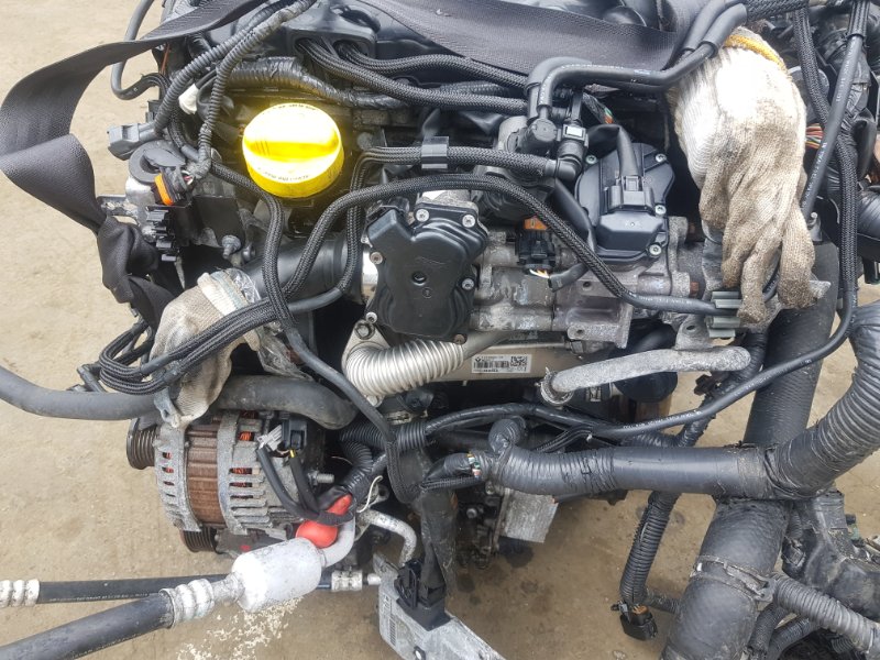 Двигатель NISSAN X-TRAIL DNT31 M9R