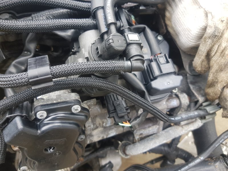 Двигатель X-TRAIL DNT31 M9R