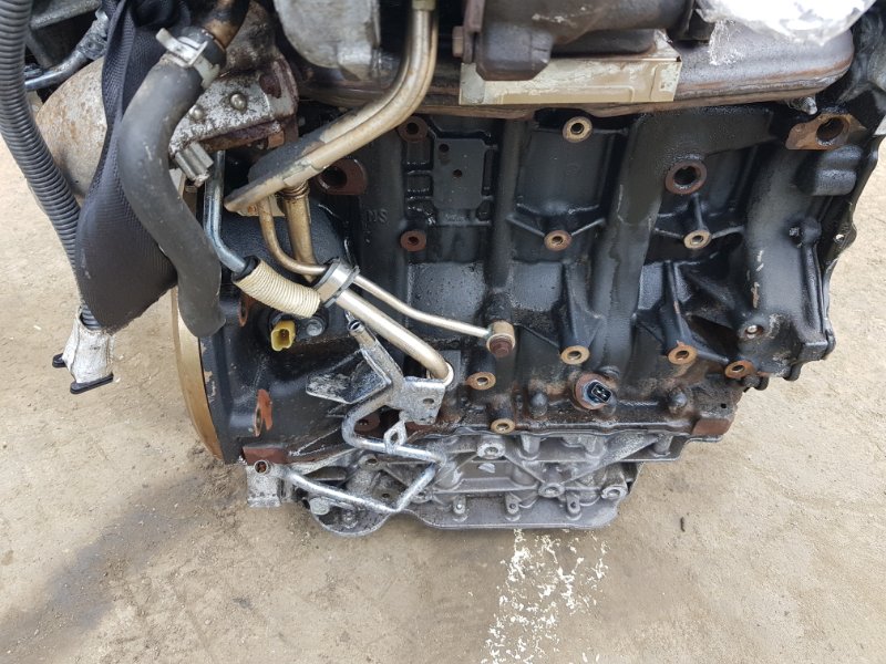 Двигатель X-TRAIL DNT31 M9R