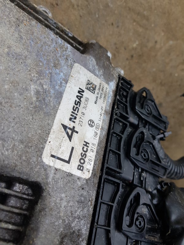 Двигатель X-TRAIL DNT31 M9R