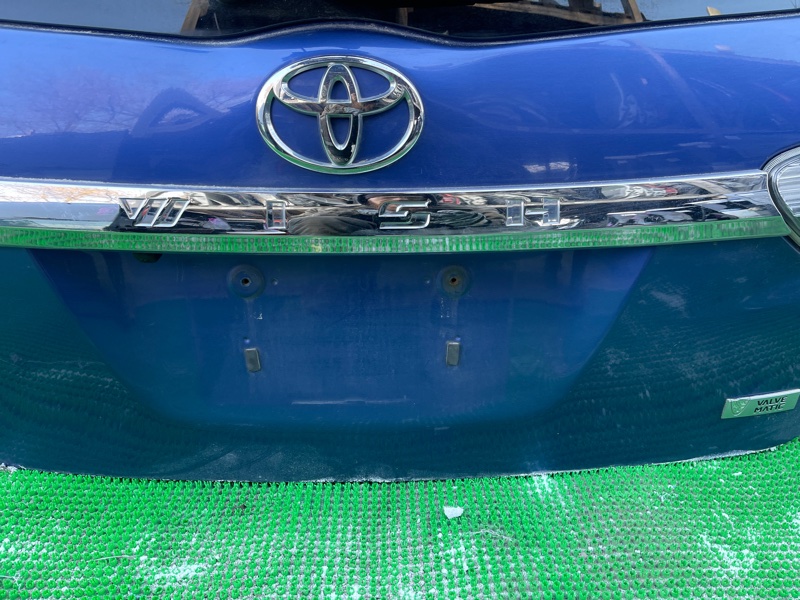 Дверь 5-я задняя WISH ZGE25 Дверь 5-я задняя WISH ZGE25