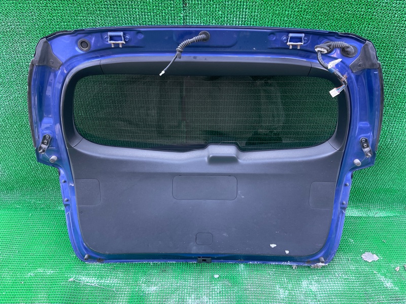 Дверь 5-я задняя WISH ZGE25 Дверь 5-я задняя WISH ZGE25